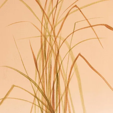 Apartament Residenz *